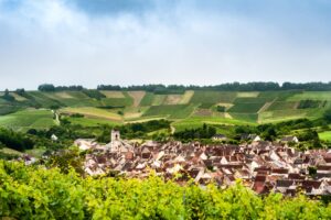 Les vignobles Chablis Irancy Saint-Bris-le-Vineux Les trésors de l'Yonne Héraclide logement séniors résidence sénior résidence senior Venoy Le Mag Différence Senior